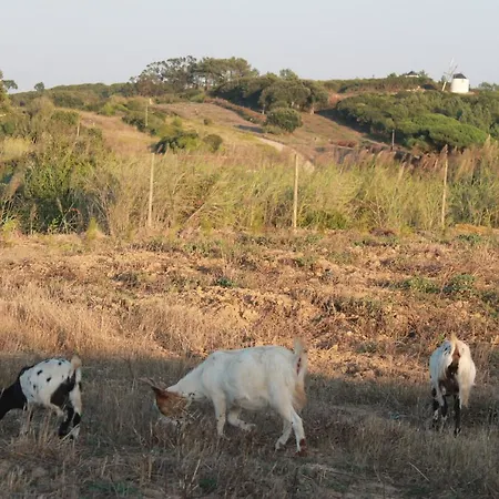 Tatil Evi Quinta Das Cerradas *